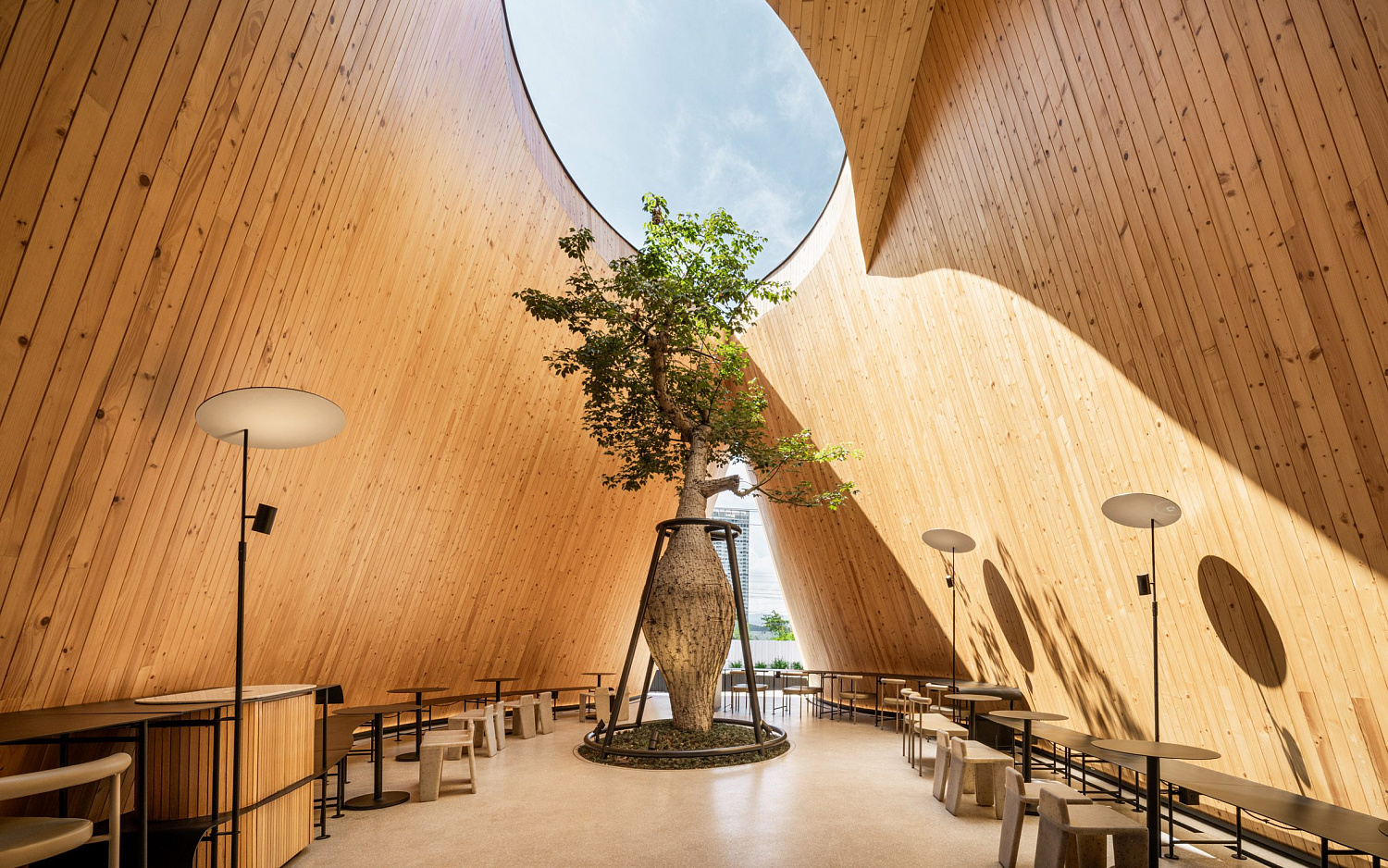 Дерево баобаб растёт в изогнутом кафе в Таиланде от IDIN Architects